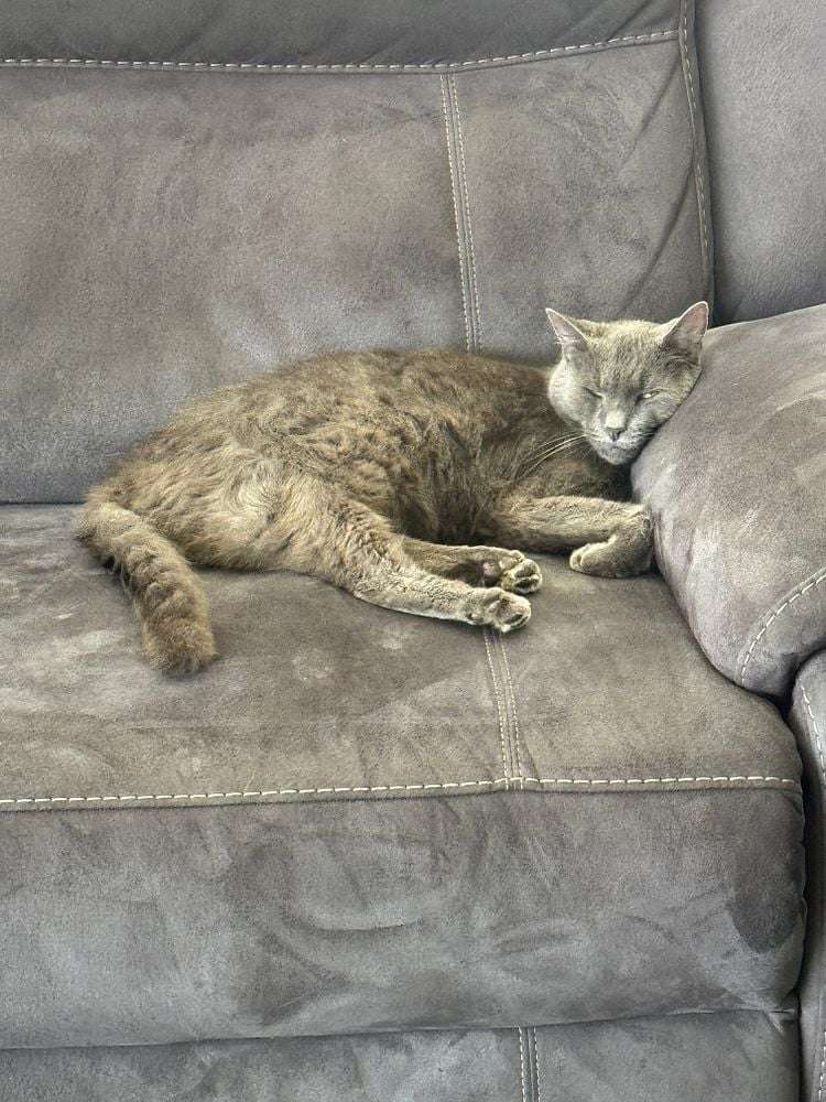 Address withheld Glenbervie_18