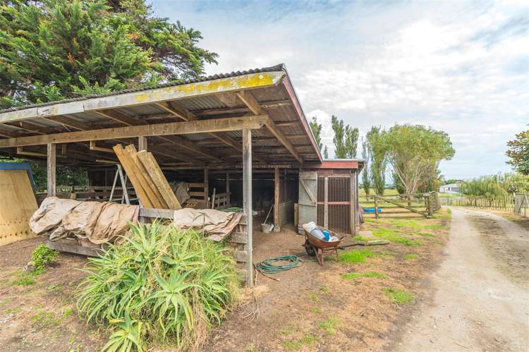 242 Tayforth Road Westmere_14