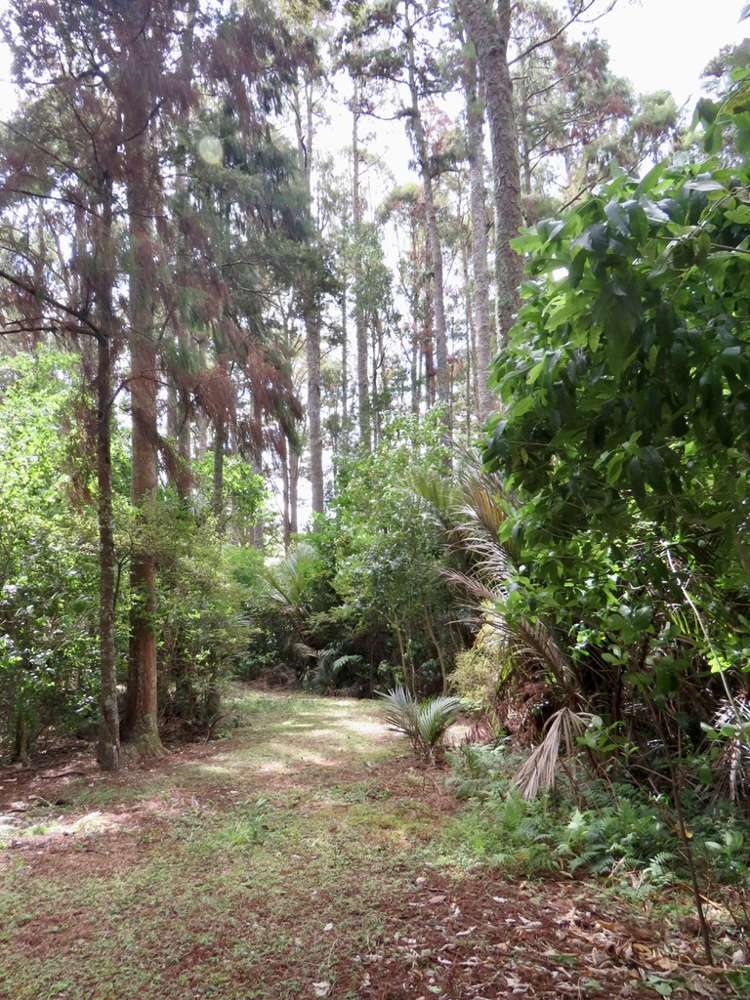 504b Wairere Road Maungaturoto_20