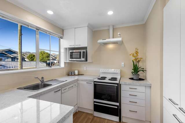 43 Rogers Street Sydenham_4