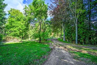 558 Old Coach Road_4