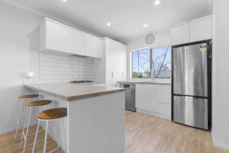 60 Te Napi Drive Takanini_3