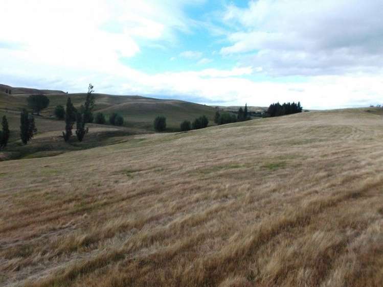 66 Jg Wilson Drive Waipukurau and Surrounds_10