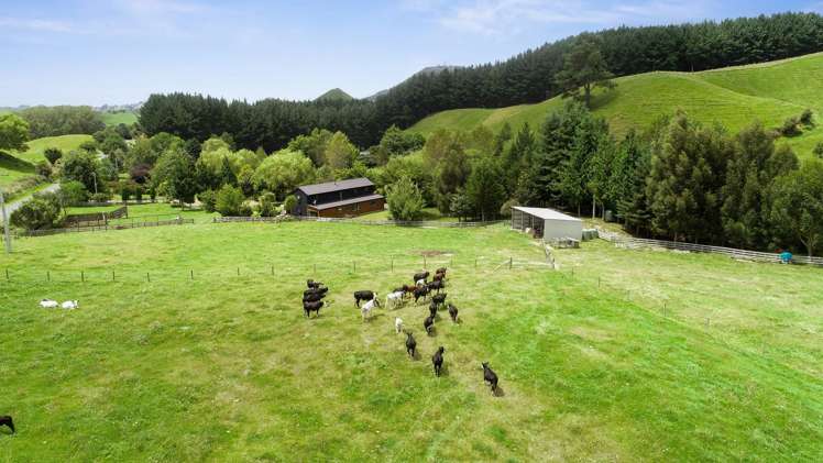 1765 Tutukau Road Kinloch_7