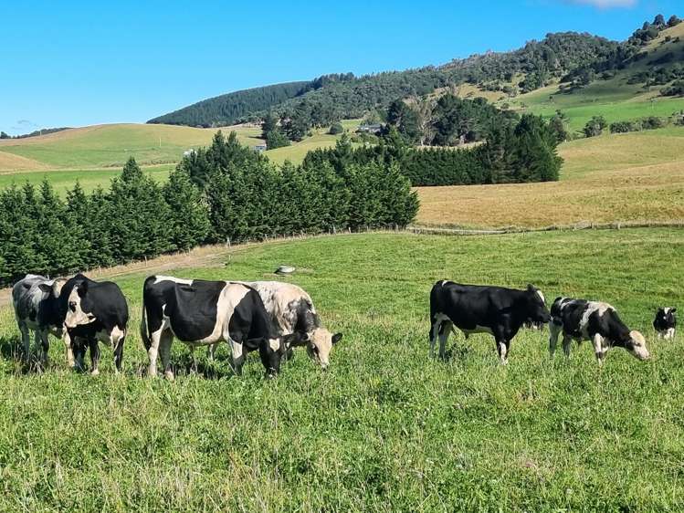 2000 Hillfoot Road Warepa_6