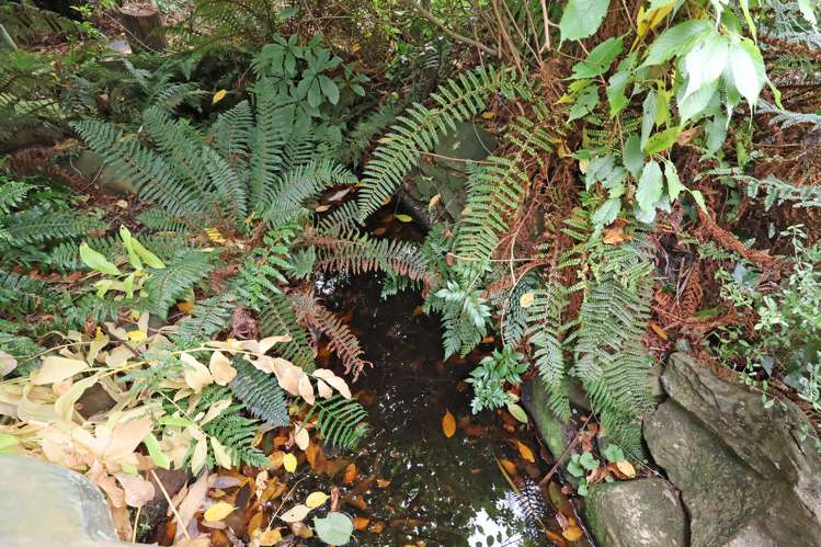 12 Ingram Street Kingswell_30