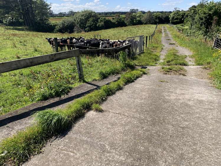 2121 Mountain Road Tariki_10