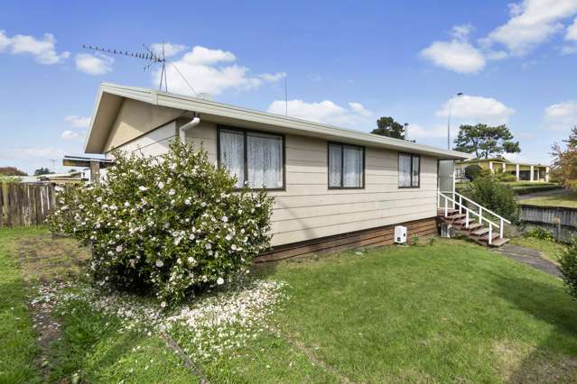 172a Rimu Street Maeroa_1