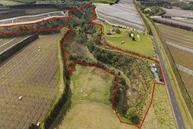 589 Rangiuru Road Te Puke_1