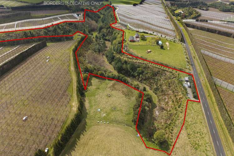 589 Rangiuru Road Te Puke_1