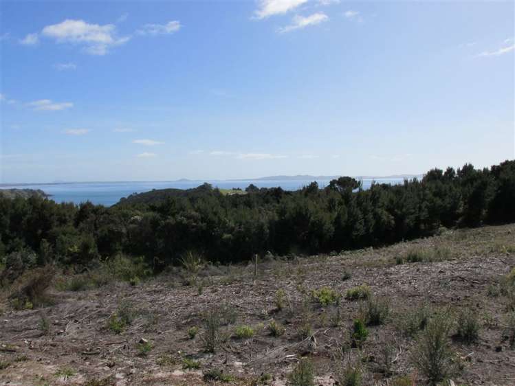 117 Stratford Drive Cable Bay_11