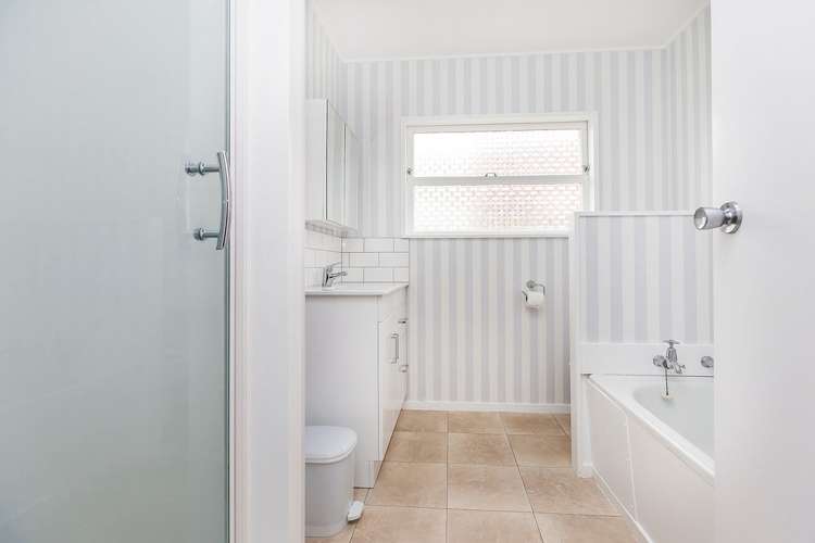 27d Brussels Street Miramar_10