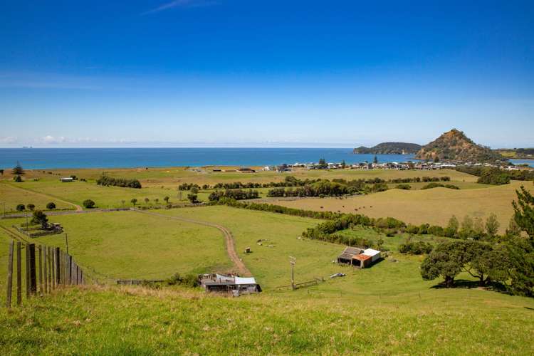 1905 Pataua North Road Pataua_13