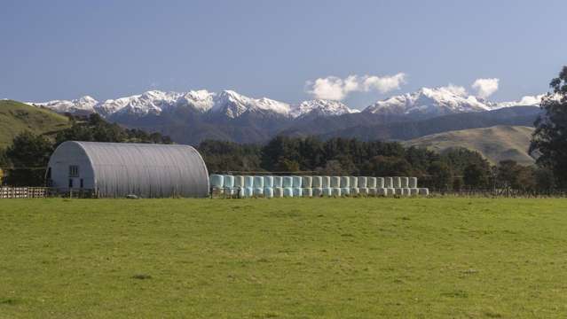 1007 State Highway 2 Masterton_2