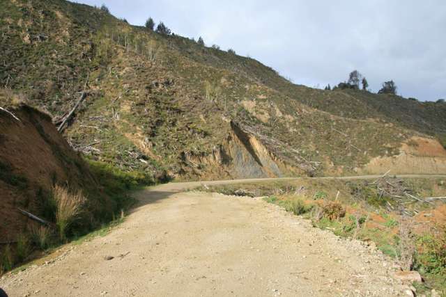 0n Makakaho Road Ngamatapouri_3