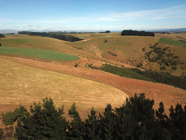 890 Mount Stuart Road Balclutha_16