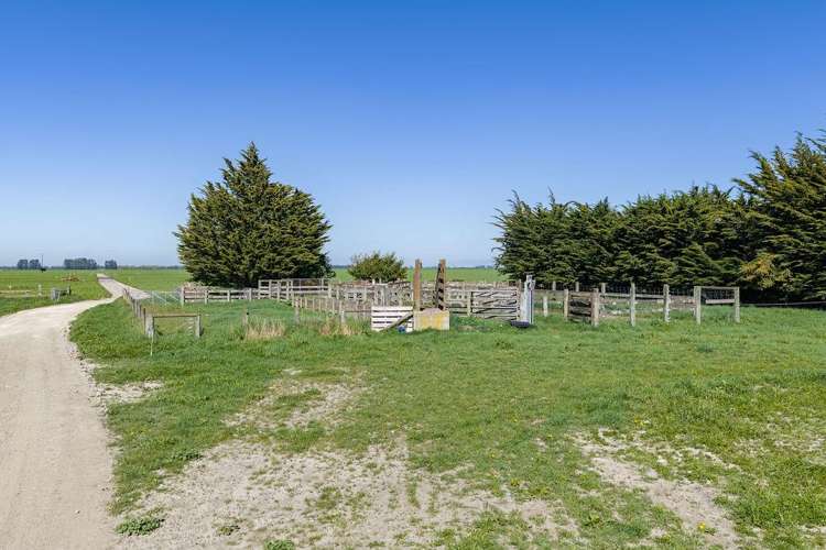 1280 Back Track Rakaia_5
