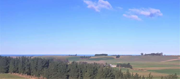 17 Esk Bank Road Otaio_17