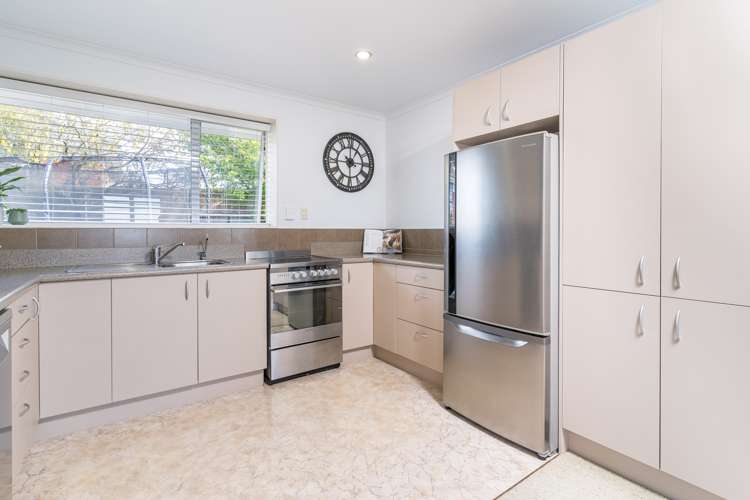 179 Highcliff Road Shiel Hill_7