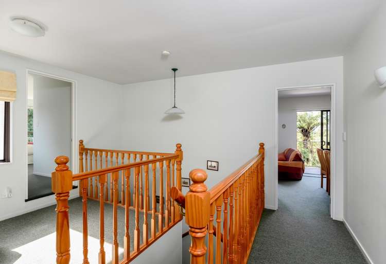 598 Takaka-Collingwood Highway Kahurangi National Park_16