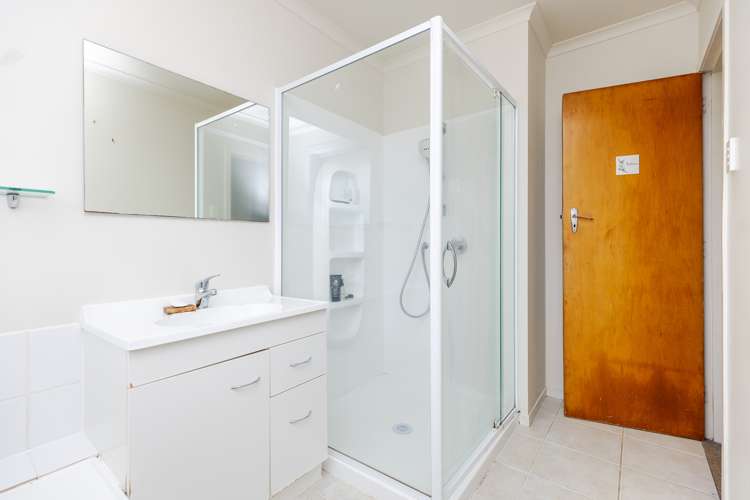 437 Mcclure Street Pirongia_19