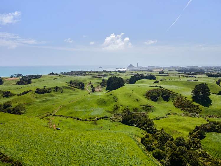 629 South Road Omata_5