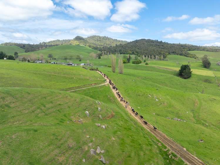 1259 Piakonui Road Matamata_17