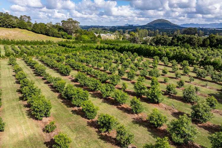 66 Kokopu Block Road Maungatapere Whangārei Rural Property For