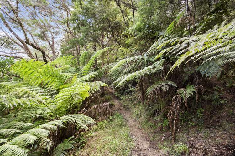 225 Okura Bay Road Kaeo_19