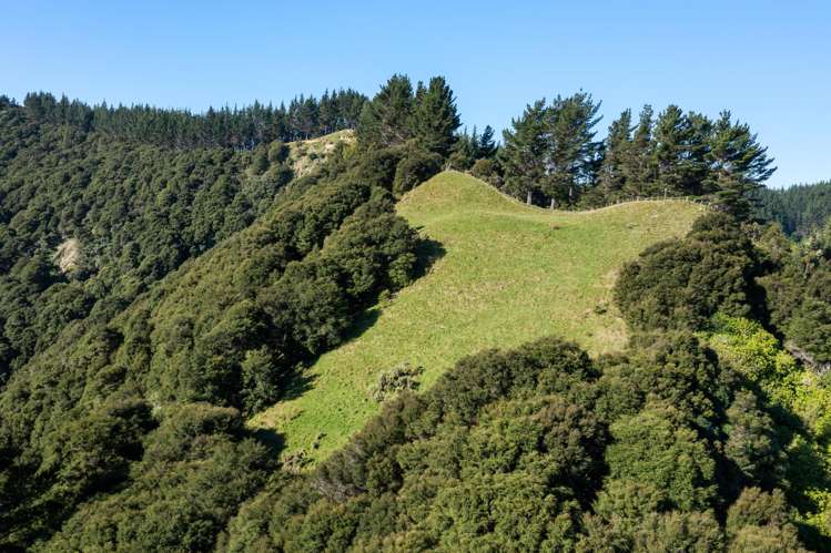 240 Cave Road Waimata_18