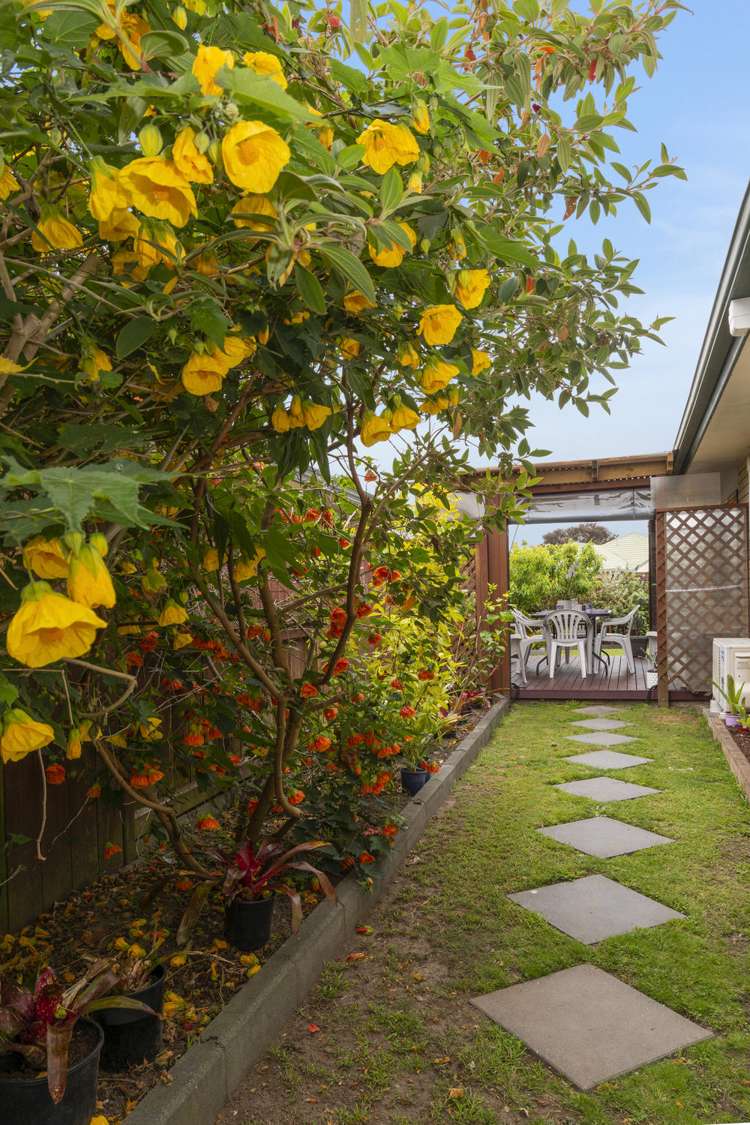 294 Gravatt Road Papamoa_16