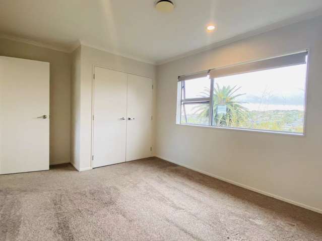 45 Ellis Avenue Mount Roskill_4