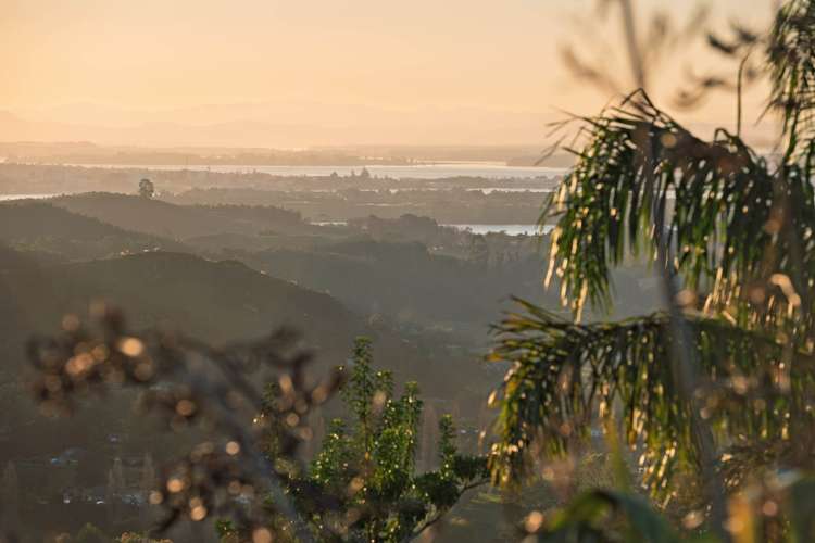 415 Rocky Cutting Road Kaimai_20