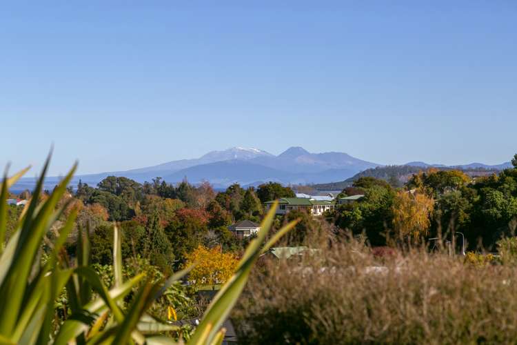 49 Huka Falls Road Rangatira Park_1