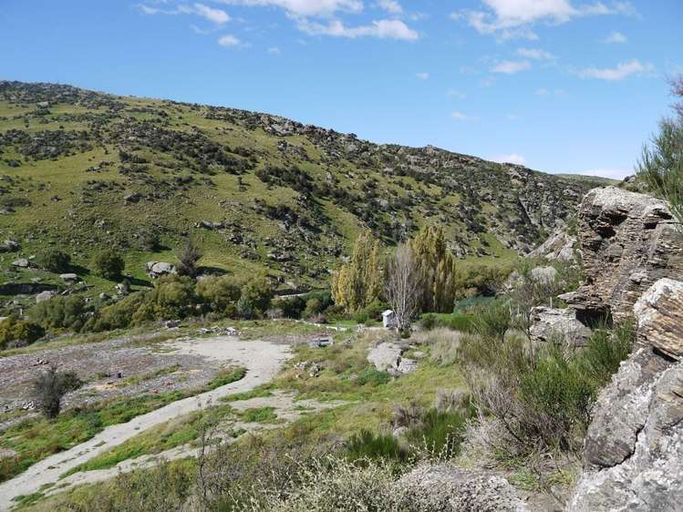 Teviot Street Roxburgh_12