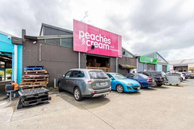 247 Archers Road Wairau Valley_2