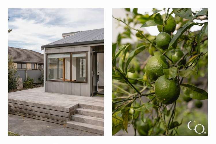 103b Eighteenth Avenue Tauranga South_18