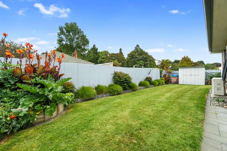 250A Mangapiko Street Te Awamutu_15