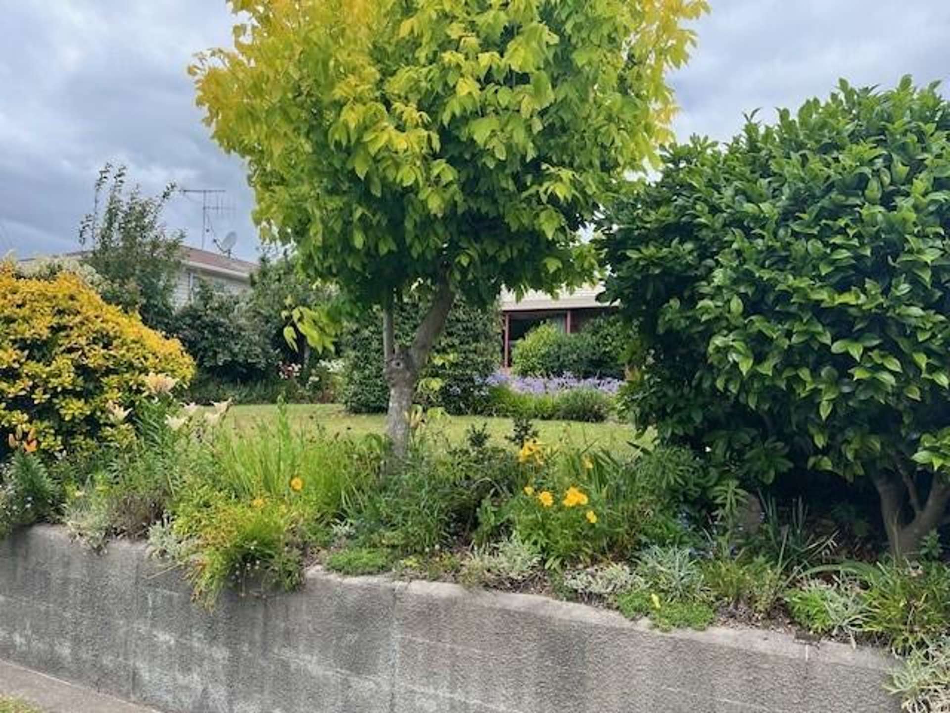 Address withheld Waihi_0