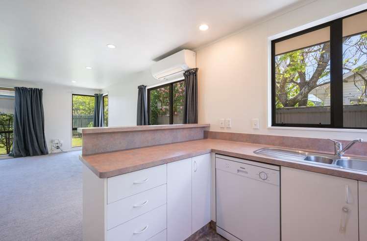 14a Green Street Tahunanui_7