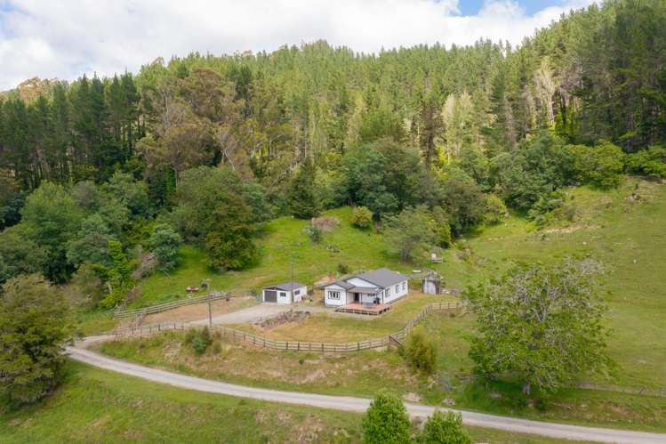 115A West Ho Road Tauwhareparae_1