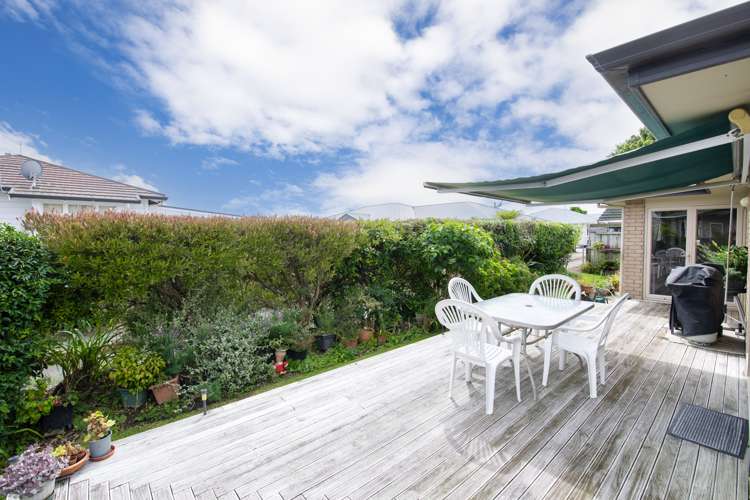 138a Guppy Road Taradale_15