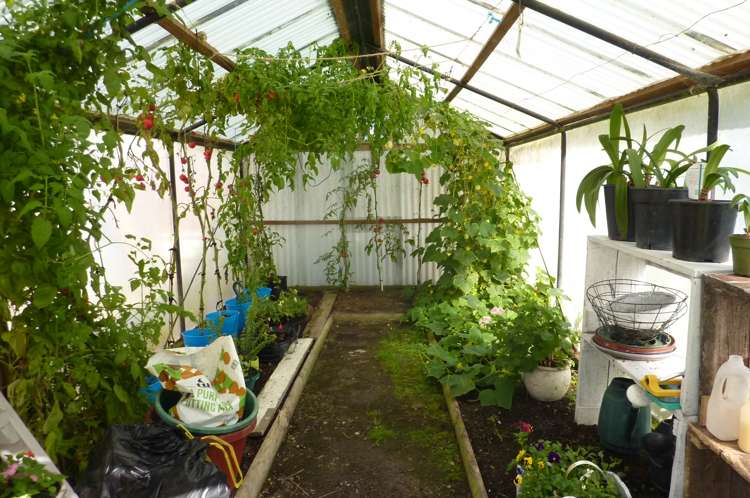 118 Romilly Street Westport_19