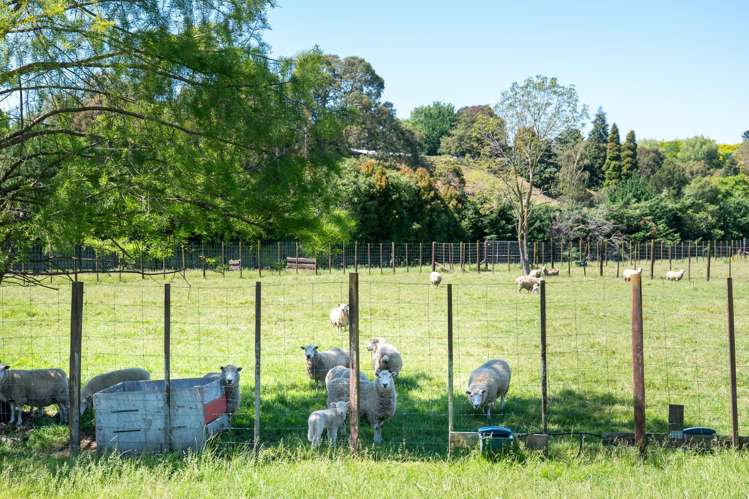 Lot Lot 2 Poraiti Road Poraiti_7