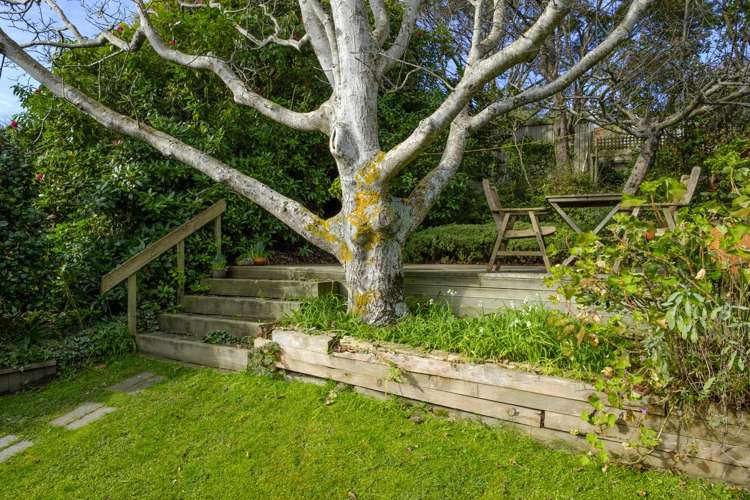 23 Marine Parade Macandrew Bay_21