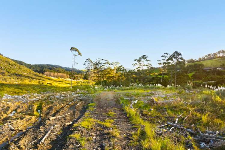 1033-1149 Woodcocks Road Warkworth_6