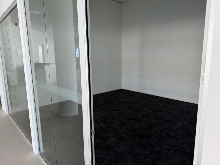 54 Cambridge Terrace Te Aro_7