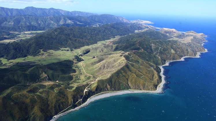 525 Muritai Road Pencarrow Head_30