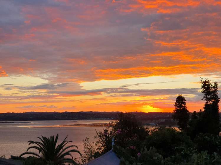 43 Hadfield Street Beach Haven_29