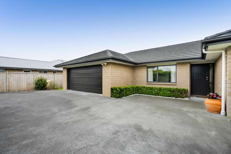 43c Camellia Avenue Bell Block_33